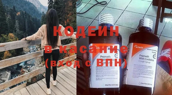 хмурый Арсеньев
