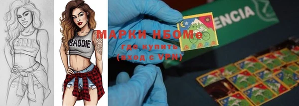 хмурый Арсеньев