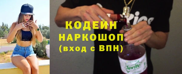 хмурый Арсеньев