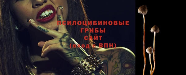 СК Армянск