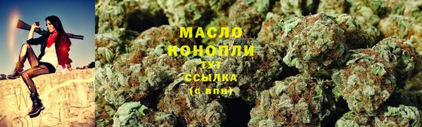 хмурый Арсеньев