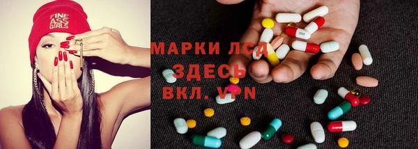 хмурый Арсеньев