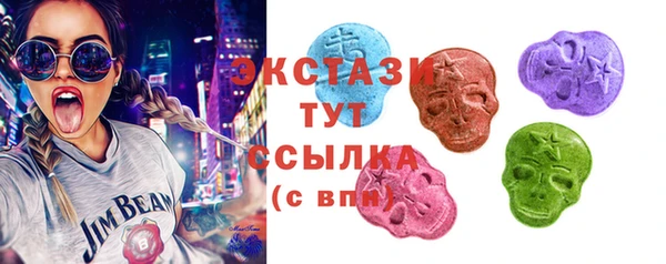 хмурый Арсеньев