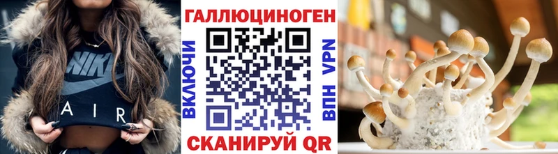 где купить Соль-Илецк Псилоцибиновые грибы Psilocybine cubensis